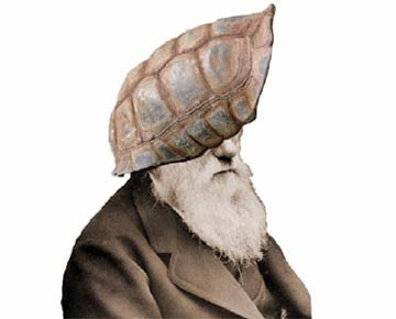 'La tortuga de Darwin', reflexión poética sobre la historia contemporánea